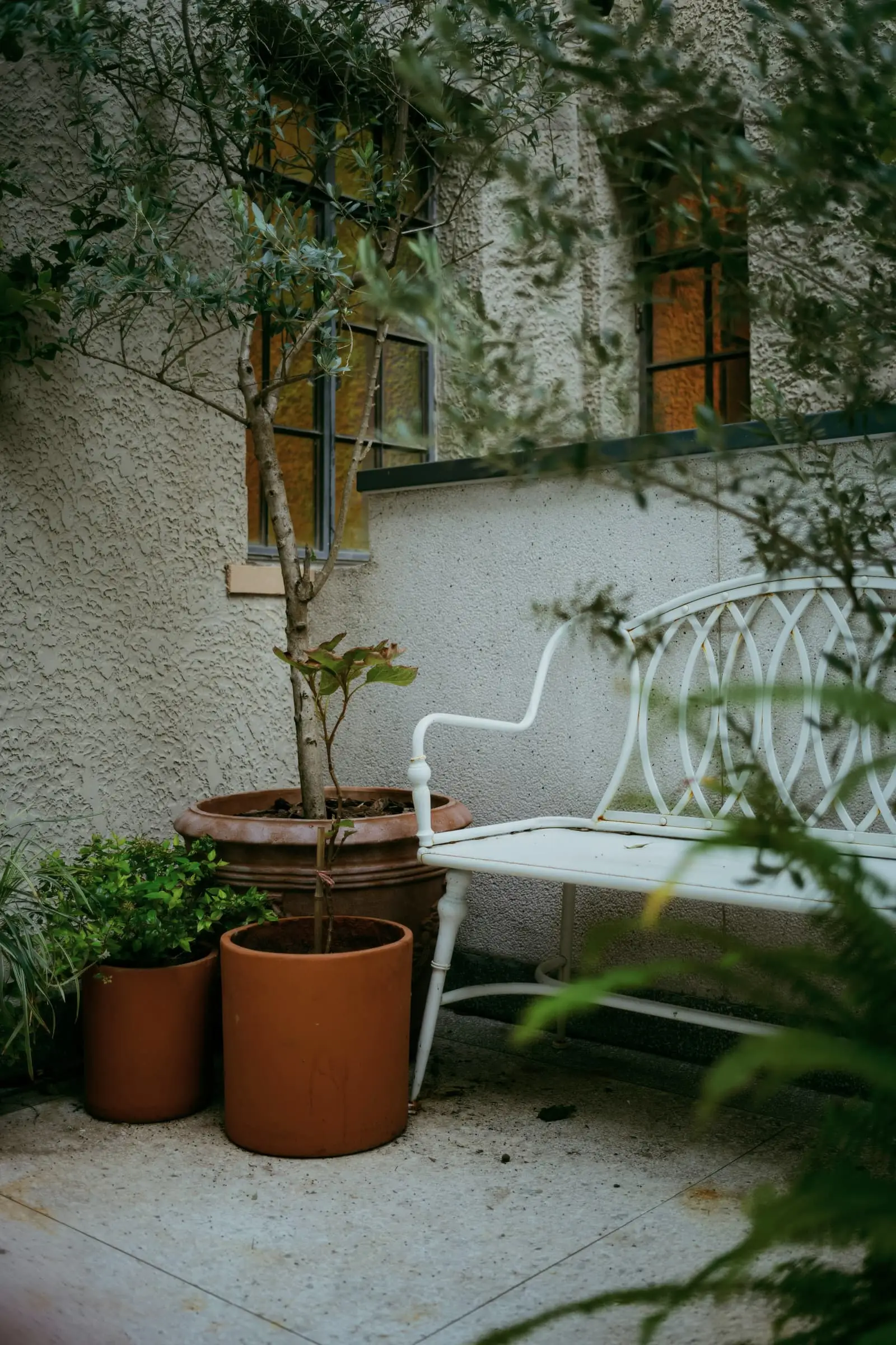 A white metal bench among terracotta pots and small trees in a walled courtyard.