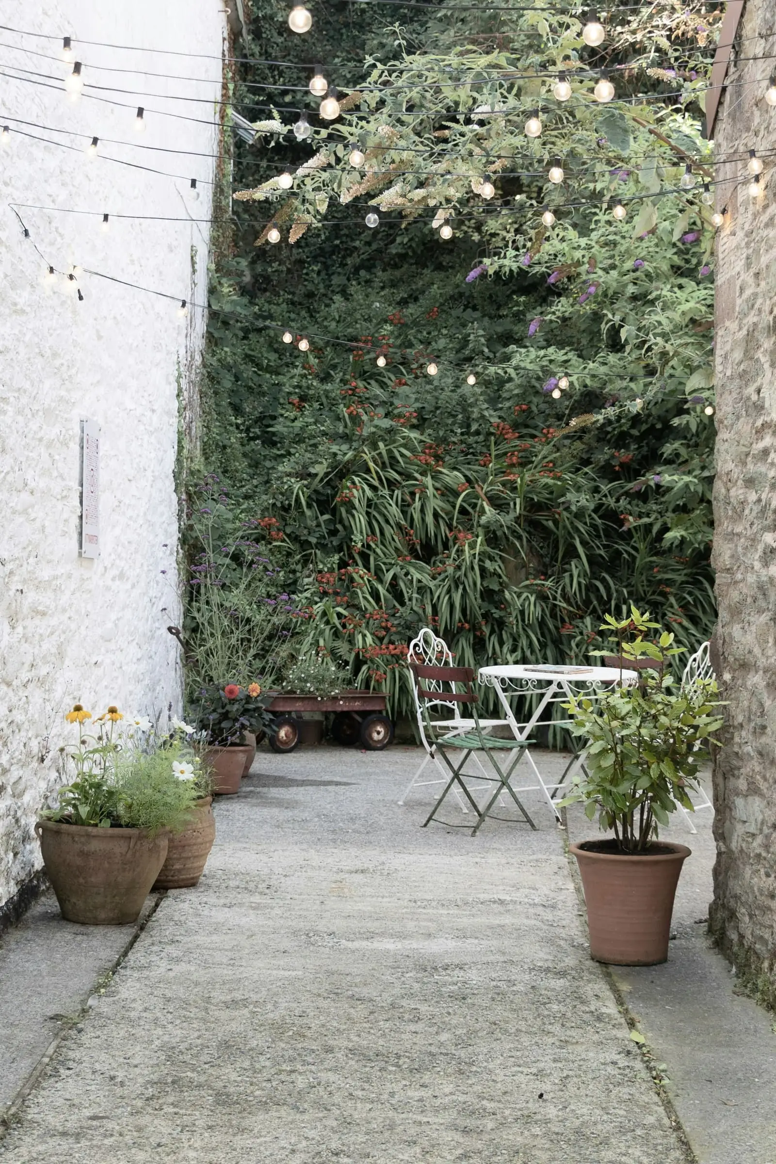 A paved courtyard with potted plants, a small round table and a planted boundary.