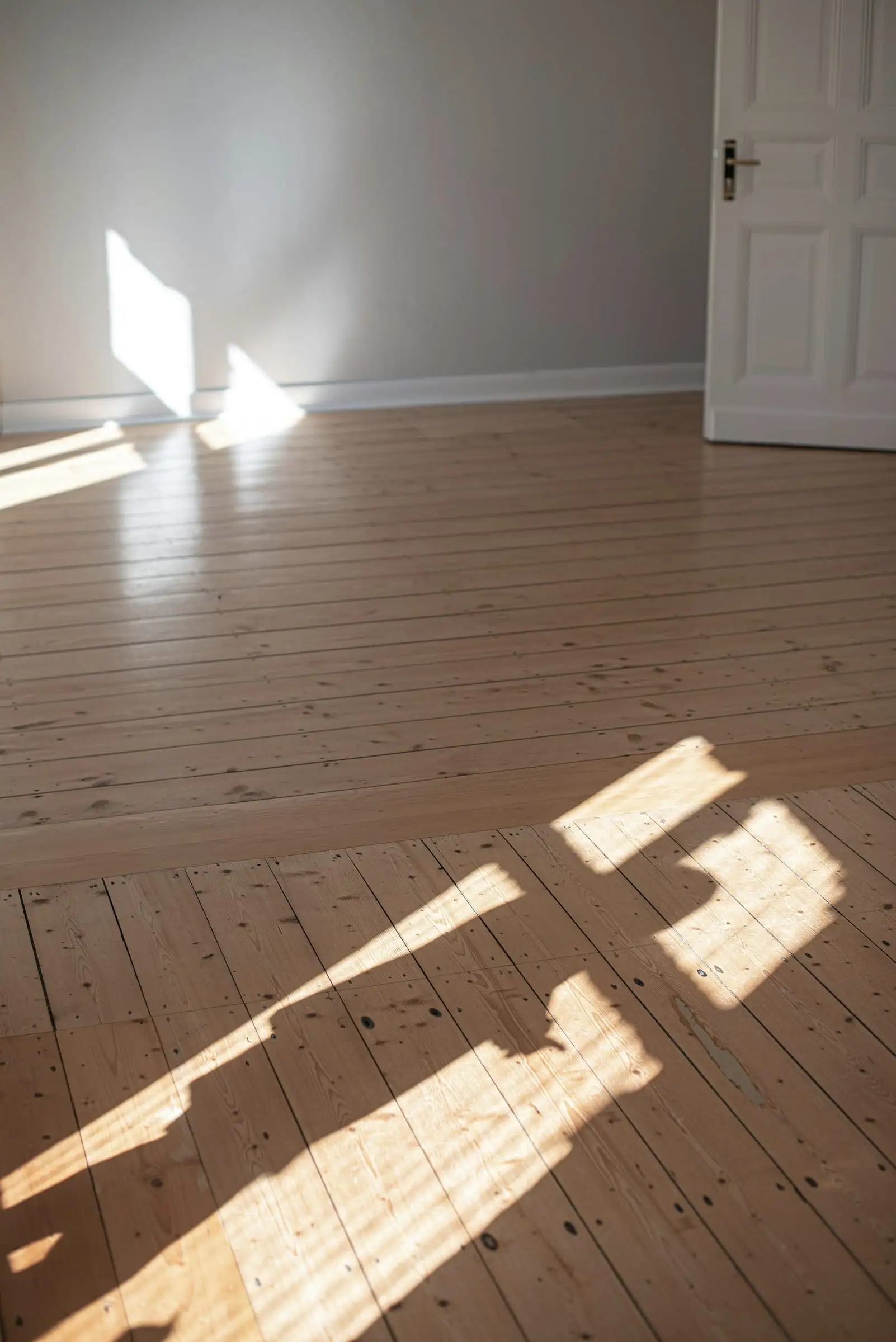 Sunlight crossing an oak board floor in front of a white door.