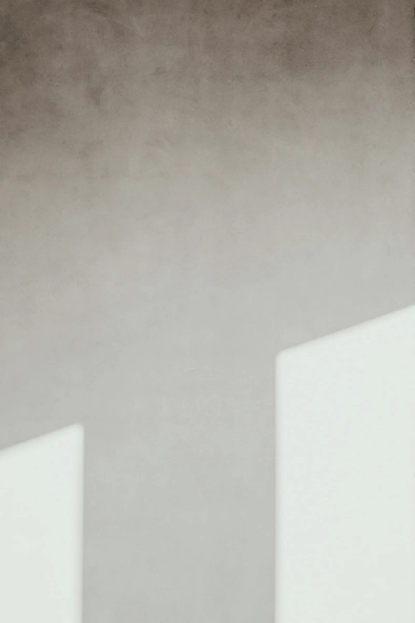 Soft window light falling on a pale plaster wall.